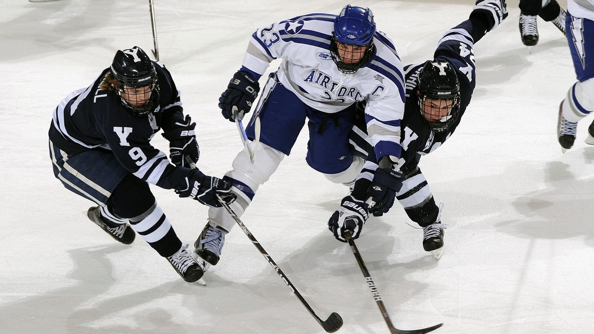 “速度与耐力的对决，SHO-CHAN Run 2025将在香港点燃激情”